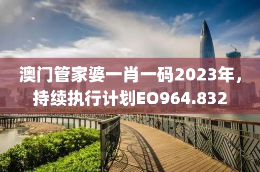 澳门管家婆一肖一码2023年，持续执行计划EO964.832