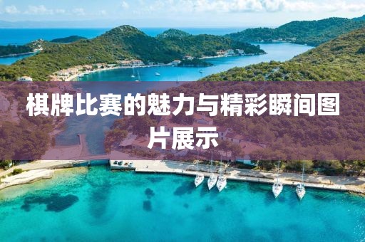 棋牌比赛的魅力与精彩瞬间图片展示