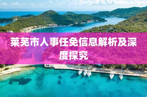 莱芜市人事任免信息解析及深度探究