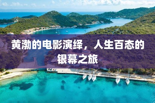 黄渤的电影演绎，人生百态的银幕之旅
