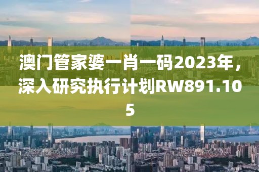 澳门管家婆一肖一码2023年，深入研究执行计划RW891.105