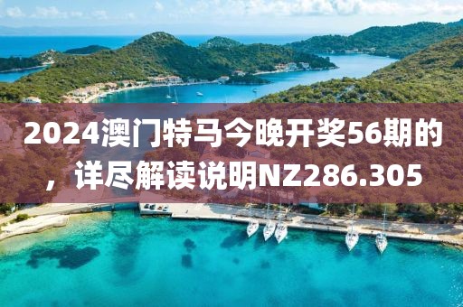 2024澳门特马今晚开奖56期的，详尽解读说明NZ286.305