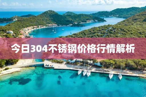 今日304不锈钢价格行情解析