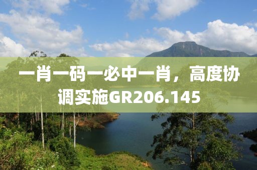 一肖一码一必中一肖，高度协调实施GR206.145