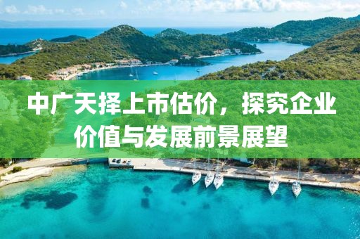 中广天择上市估价，探究企业价值与发展前景展望