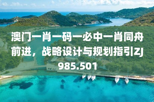 澳门一肖一码一必中一肖同舟前进，战略设计与规划指引ZJ985.501
