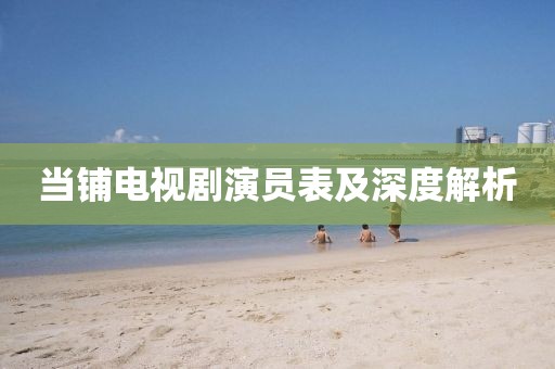 当铺电视剧演员表及深度解析
