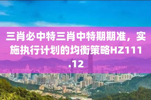 三肖必中特三肖中特期期准，实施执行计划的均衡策略HZ111.12