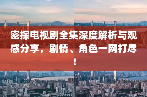 密探电视剧全集深度解析与观感分享，剧情、角色一网打尽！