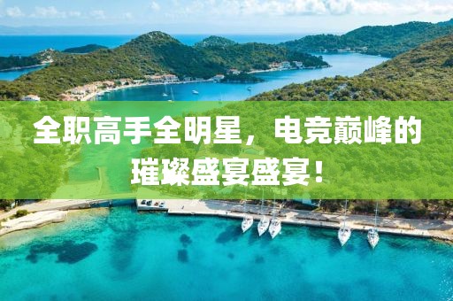 全职高手全明星，电竞巅峰的璀璨盛宴盛宴！