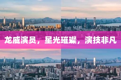 龙威演员，星光璀璨，演技非凡