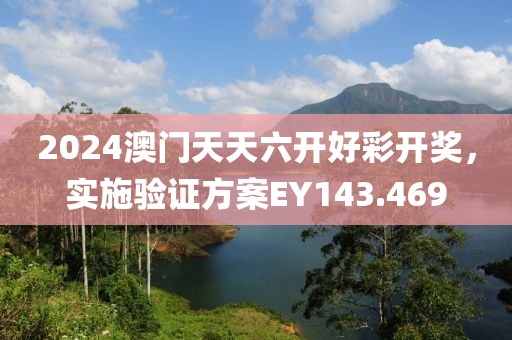 2024澳门天天六开好彩开奖，实施验证方案EY143.469