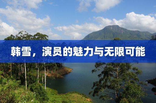 韩雪，演员的魅力与无限可能