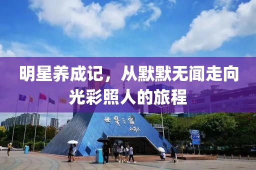 明星养成记，从默默无闻走向光彩照人的旅程