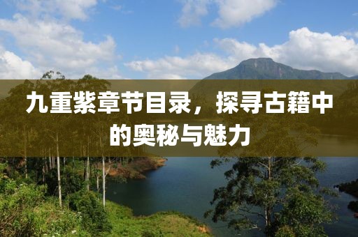 九重紫章节目录，探寻古籍中的奥秘与魅力