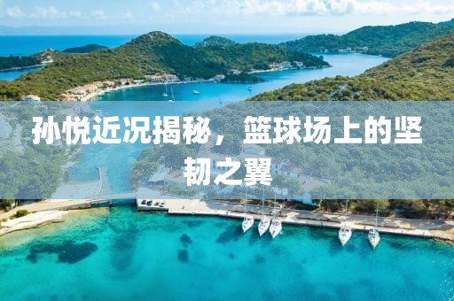 孙悦近况揭秘，篮球场上的坚韧之翼