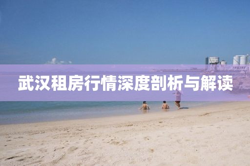 武汉租房行情深度剖析与解读