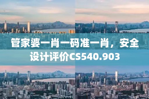 管家婆一肖一码准一肖，安全设计评价CS540.903