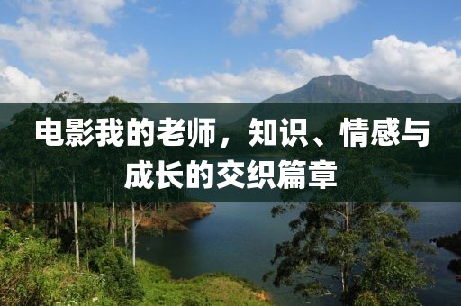 电影我的老师，知识、情感与成长的交织篇章