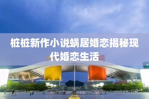 桩桩新作小说蜗居婚恋揭秘现代婚恋生活