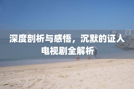深度剖析与感悟，沉默的证人电视剧全解析