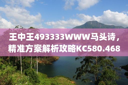 王中王493333WWW马头诗，精准方案解析攻略KC580.468