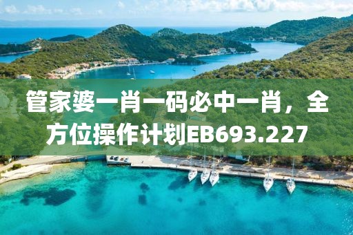 管家婆一肖一码必中一肖，全方位操作计划EB693.227