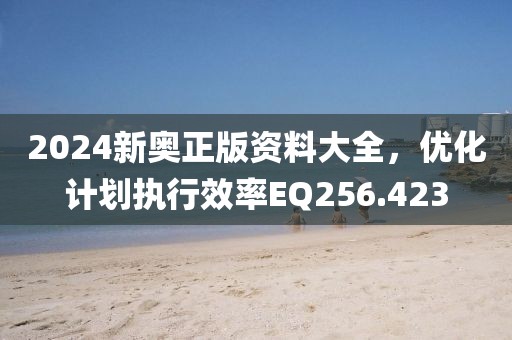 2024新奥正版资料大全，优化计划执行效率EQ256.423