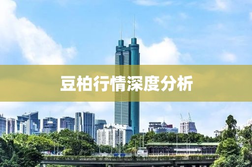 豆柏行情深度分析