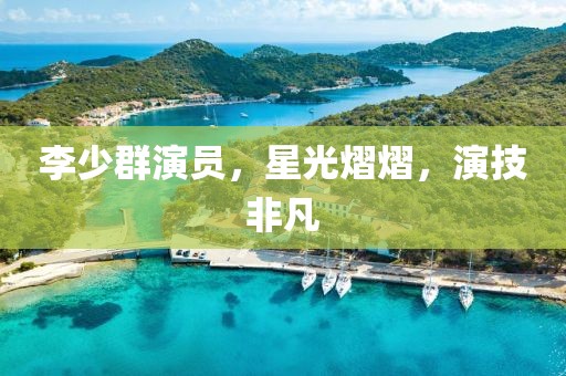 李少群演员，星光熠熠，演技非凡