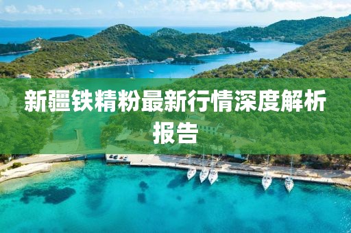 新疆铁精粉最新行情深度解析报告