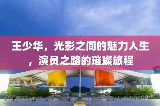 王少华，光影之间的魅力人生，演员之路的璀璨旅程