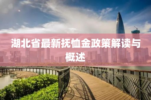 湖北省最新抚恤金政策解读与概述