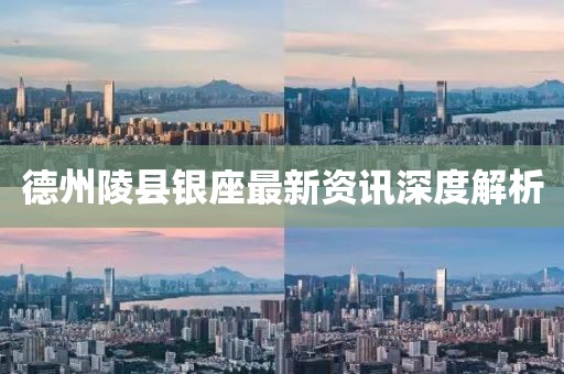 德州陵县银座最新资讯深度解析