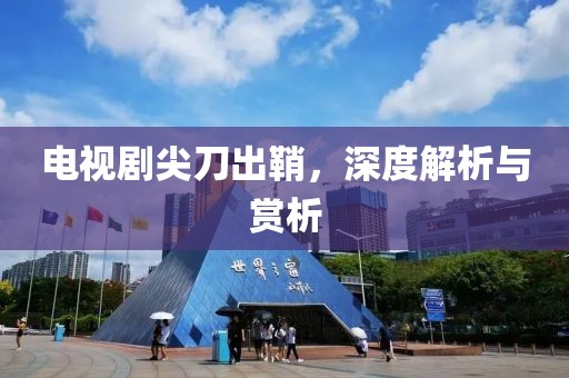 电视剧尖刀出鞘，深度解析与赏析