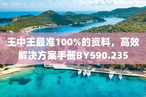 王中王最准100%的资料，高效解决方案手册BY590.235