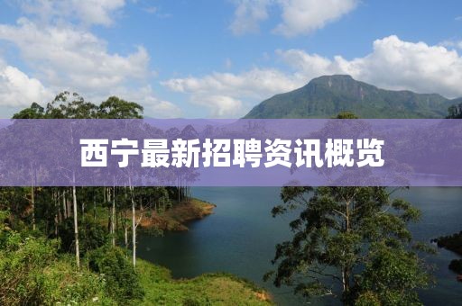 西宁最新招聘资讯概览