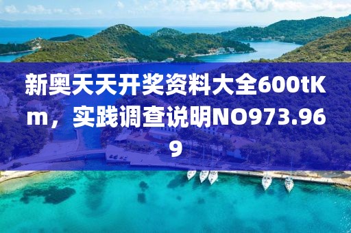 新奥天天开奖资料大全600tKm，实践调查说明NO973.969