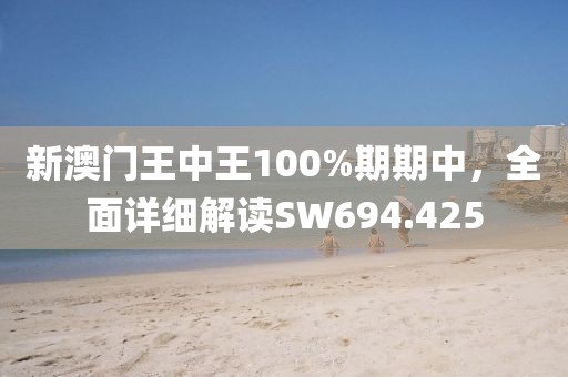 新澳门王中王100%期期中，全面详细解读SW694.425