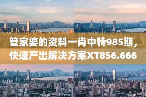 管家婆的资料一肖中特985期，快速产出解决方案XT856.666