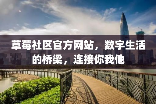 草莓社区官方网站，数字生活的桥梁，连接你我他