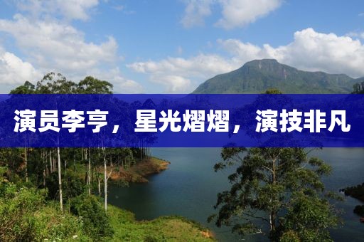 演员李亨，星光熠熠，演技非凡
