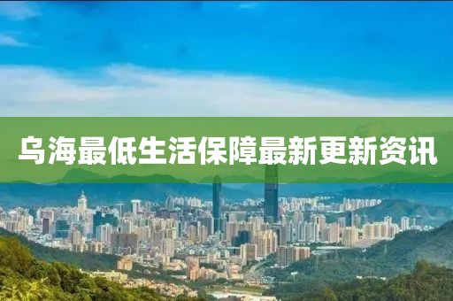乌海最低生活保障最新更新资讯