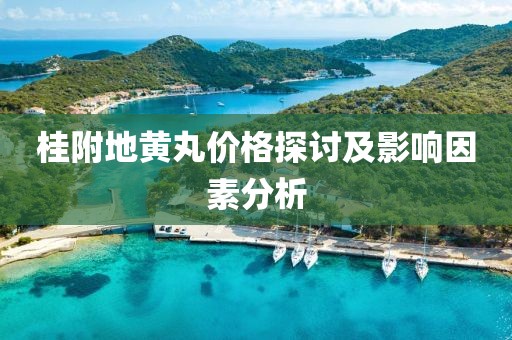 初告白 第9页