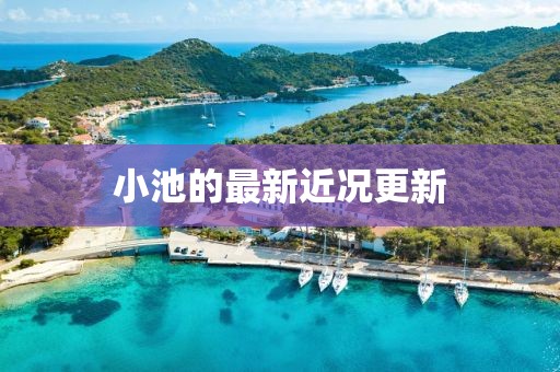 小池的最新近况更新