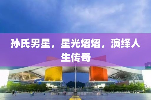 孙氏男星，星光熠熠，演绎人生传奇