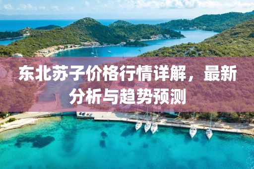 东北苏子价格行情详解，最新分析与趋势预测