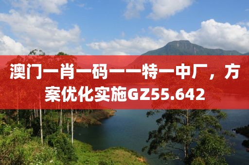 澳门一肖一码一一特一中厂，方案优化实施GZ55.642