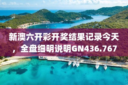 新澳六开彩开奖结果记录今天，全盘细明说明GN436.767