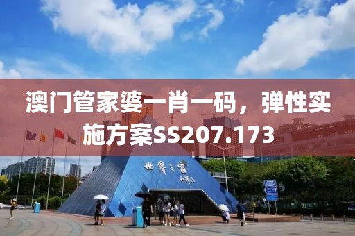 澳门管家婆一肖一码，弹性实施方案SS207.173
